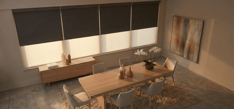 cortinas doble roller