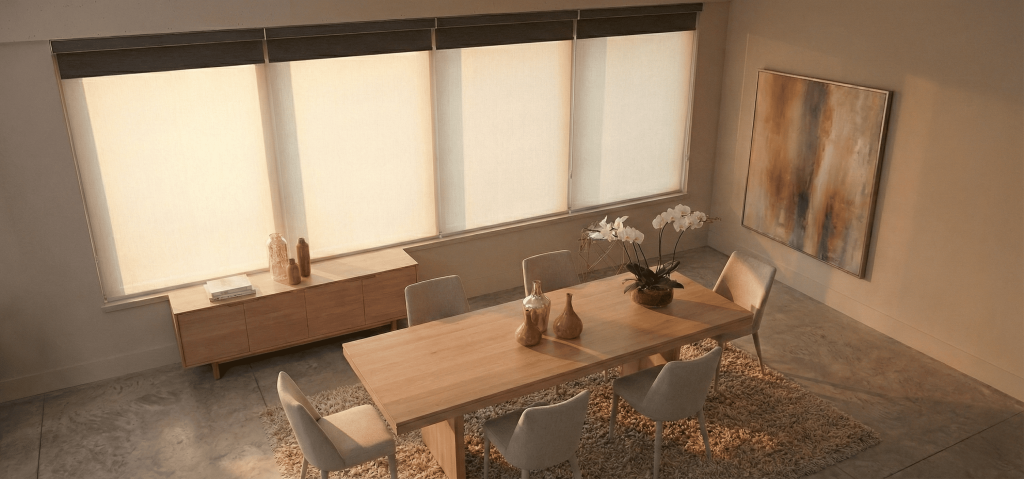 cortinas doble roller