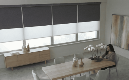 cortinas doble roller